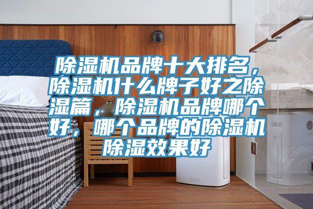 除濕機(jī)品牌十大排名，除濕機(jī)什么牌子好之除濕篇，除濕機(jī)品牌哪個(gè)好，哪個(gè)品牌的除濕機(jī)除濕效果好