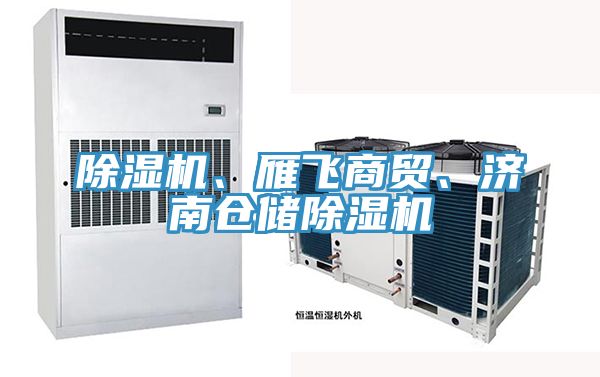 除濕機(jī)、雁飛商貿(mào)、濟(jì)南倉(cāng)儲(chǔ)除濕機(jī)
