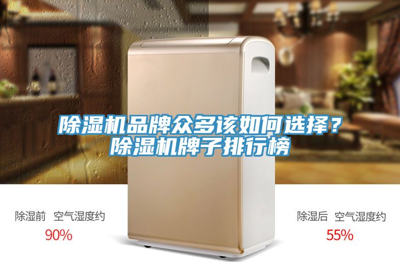 除濕機(jī)品牌眾多該如何選擇？除濕機(jī)牌子排行榜