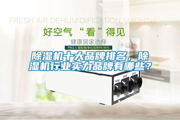 除濕機十大品牌排名，除濕機行業(yè)實力品牌有哪些？