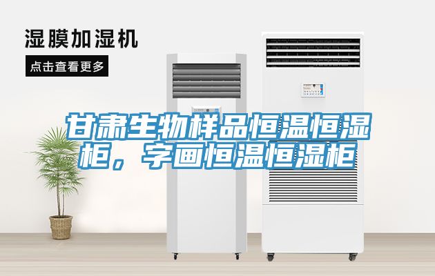 甘肅生物樣品恒溫恒濕柜，字畫恒溫恒濕柜