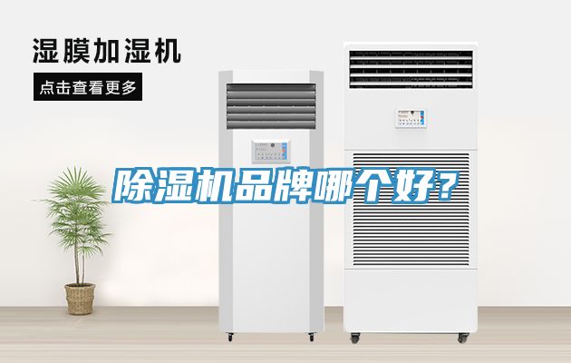 除濕機(jī)品牌哪個(gè)好？