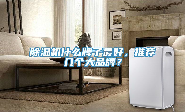 除濕機什么牌子最好，推薦幾個大品牌？