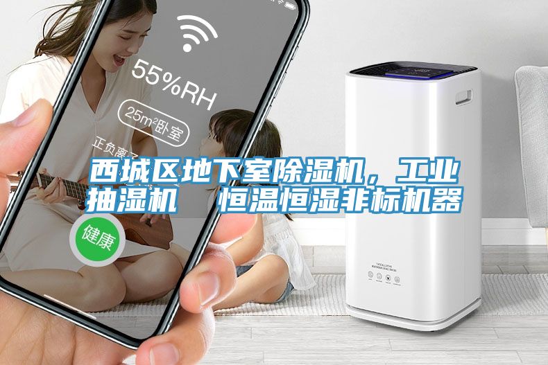 西城區(qū)地下室除濕機，工業(yè)抽濕機  恒溫恒濕非標機器