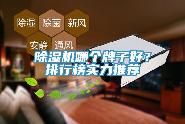 除濕機(jī)哪個牌子好？排行榜實力推薦