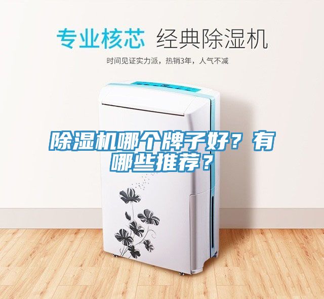 除濕機(jī)哪個牌子好？有哪些推薦？