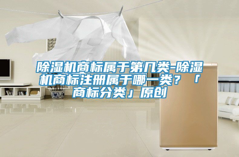 除濕機(jī)商標(biāo)屬于第幾類-除濕機(jī)商標(biāo)注冊(cè)屬于哪一類？「商標(biāo)分類」原創(chuàng)