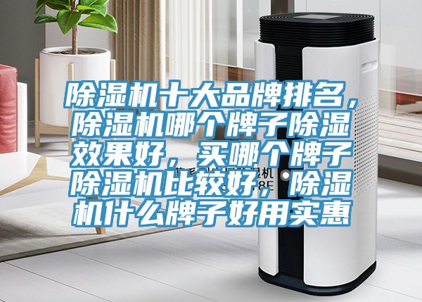 除濕機十大品牌排名，除濕機哪個牌子除濕效果好，買哪個牌子除濕機比較好，除濕機什么牌子好用實惠