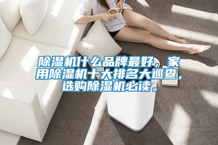 除濕機(jī)什么品牌最好，家用除濕機(jī)十大排名大巡查，選購除濕機(jī)必讀。