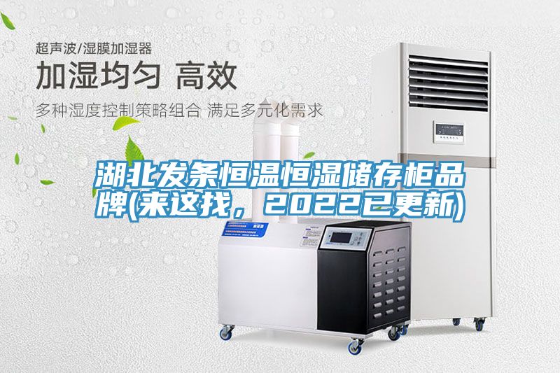 湖北發(fā)條恒溫恒濕儲(chǔ)存柜品牌(來(lái)這找，2022已更新)