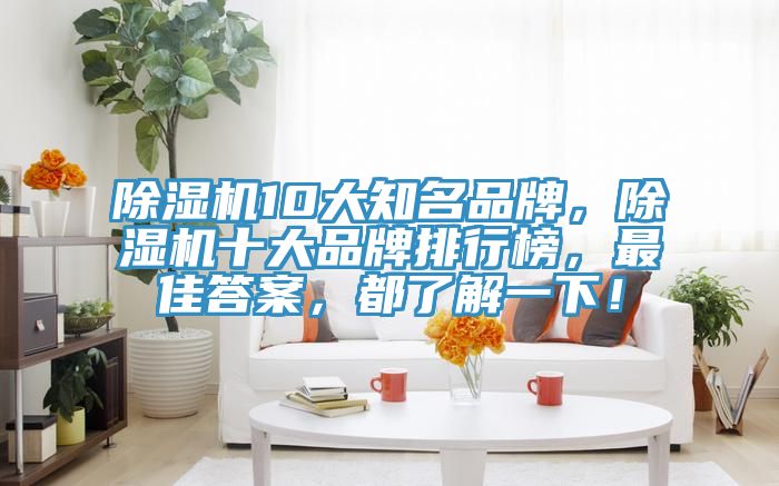 除濕機10大知名品牌，除濕機十大品牌排行榜，最佳答案，都了解一下！