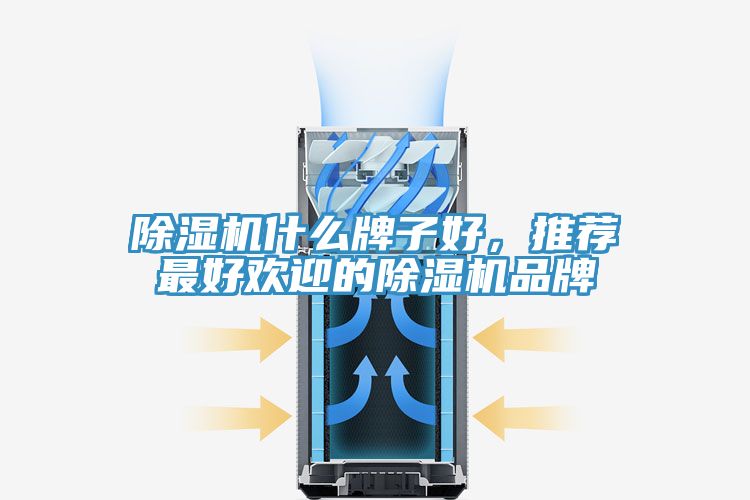 除濕機什么牌子好，推薦最好歡迎的除濕機品牌