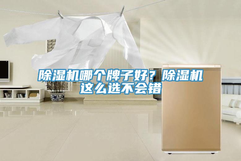 除濕機(jī)哪個牌子好？除濕機(jī)這么選不會錯