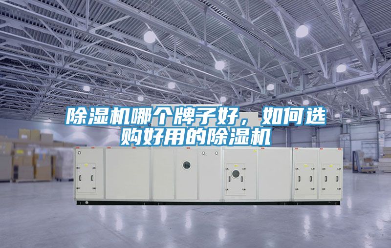 除濕機(jī)哪個(gè)牌子好，如何選購(gòu)好用的除濕機(jī)
