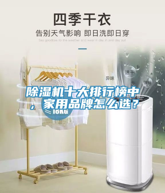 除濕機(jī)十大排行榜中，家用品牌怎么選？