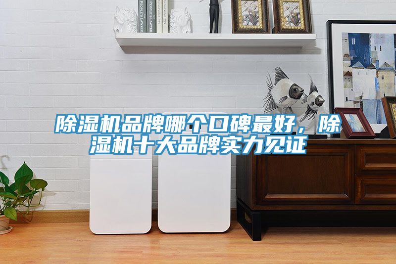 除濕機(jī)品牌哪個(gè)口碑最好，除濕機(jī)十大品牌實(shí)力見證