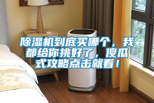 除濕機(jī)到底買(mǎi)哪個(gè)，我都給你挑好了，傻瓜式攻略點(diǎn)擊就看！