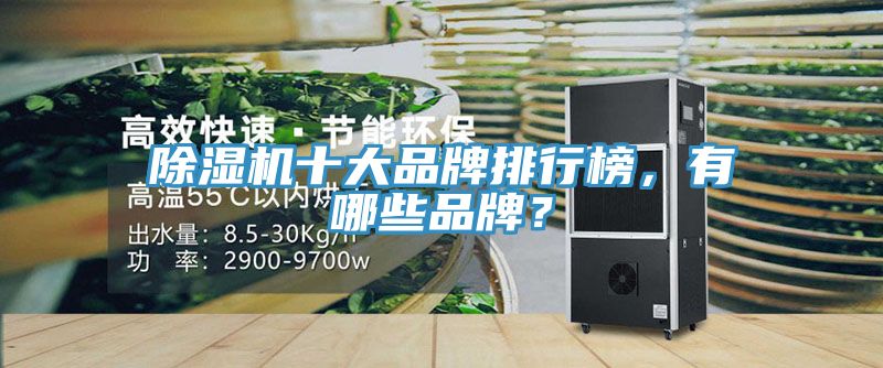 除濕機十大品牌排行榜，有哪些品牌？