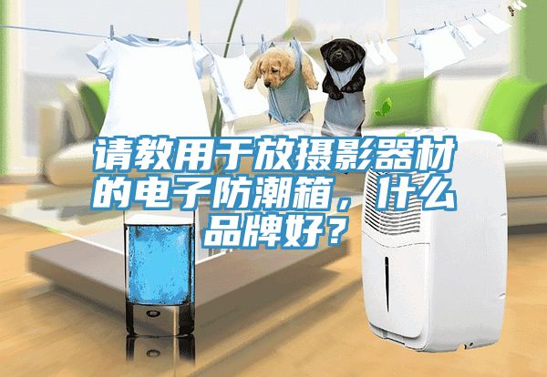 請教用于放攝影器材的電子防潮箱，什么品牌好？