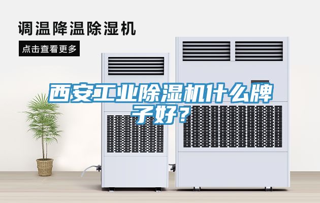 西安工業(yè)除濕機什么牌子好？