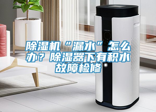 除濕機“漏水”怎么辦？除濕器下有積水故障檢修