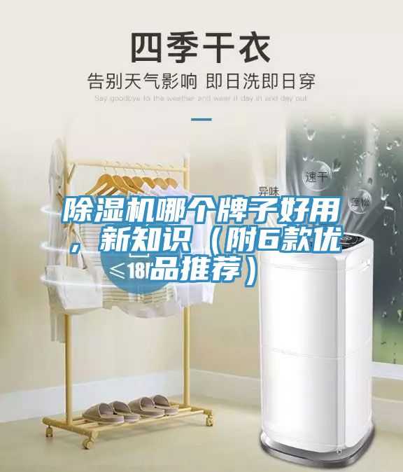 除濕機(jī)哪個(gè)牌子好用，新知識(shí)（附6款優(yōu)品推薦）