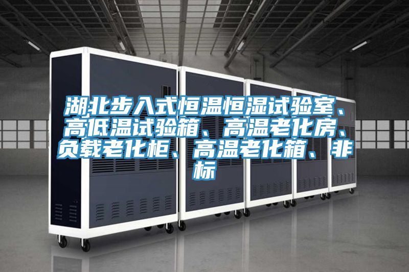 湖北步入式恒溫恒濕試驗室、高低溫試驗箱、高溫老化房、負載老化柜、高溫老化箱、非標