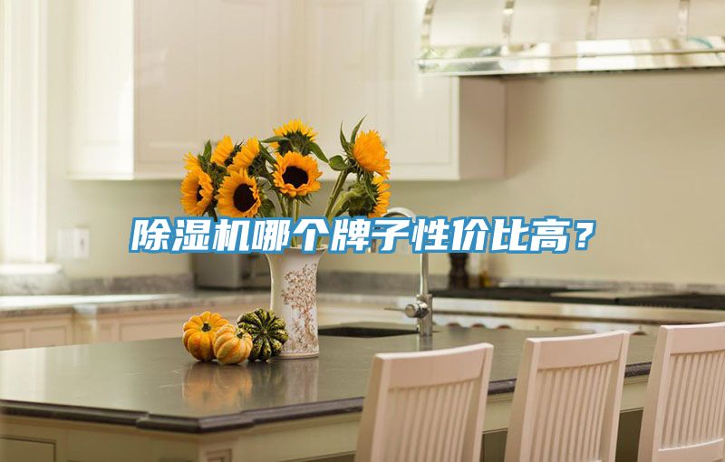 除濕機(jī)哪個牌子性價比高？