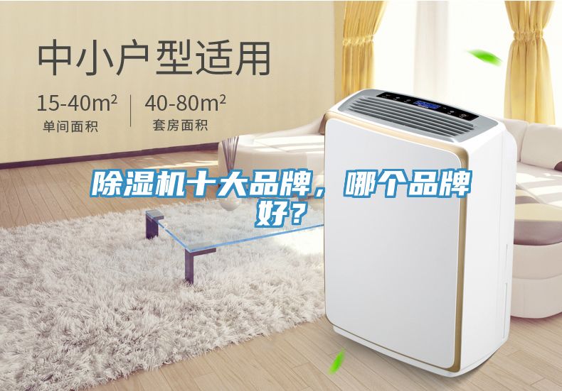 除濕機(jī)十大品牌，哪個(gè)品牌好？