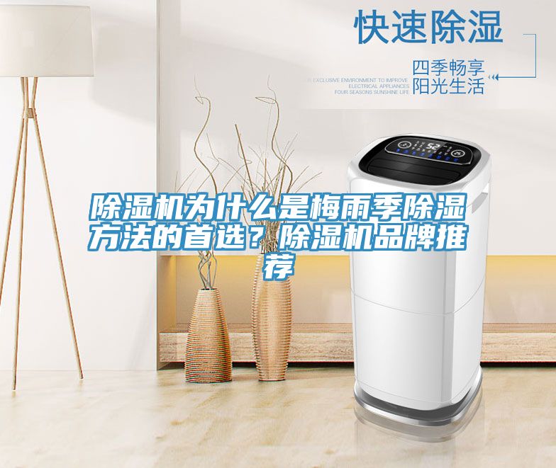除濕機(jī)為什么是梅雨季除濕方法的首選？除濕機(jī)品牌推薦