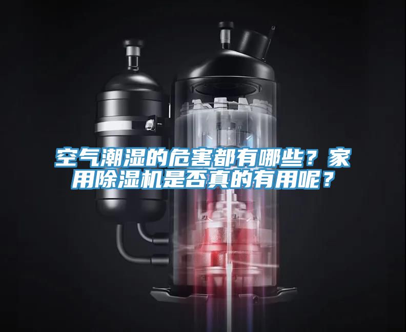 空氣潮濕的危害都有哪些？家用除濕機(jī)是否真的有用呢？