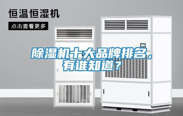 除濕機十大品牌排名，有誰知道？
