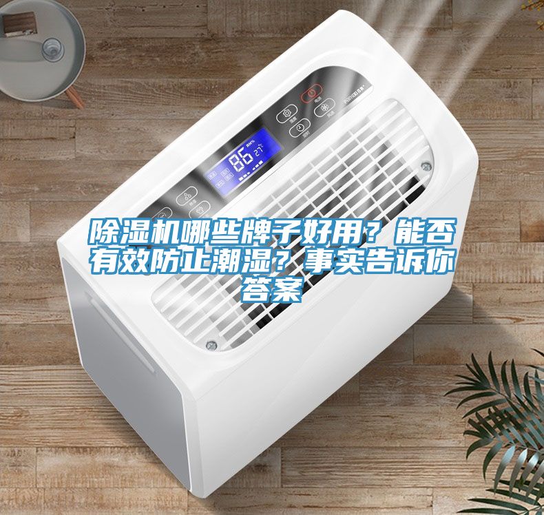 除濕機(jī)哪些牌子好用？能否有效防止潮濕？事實(shí)告訴你答案