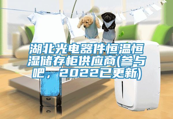 湖北光電器件恒溫恒濕儲存柜供應商(參與吧，2022已更新)