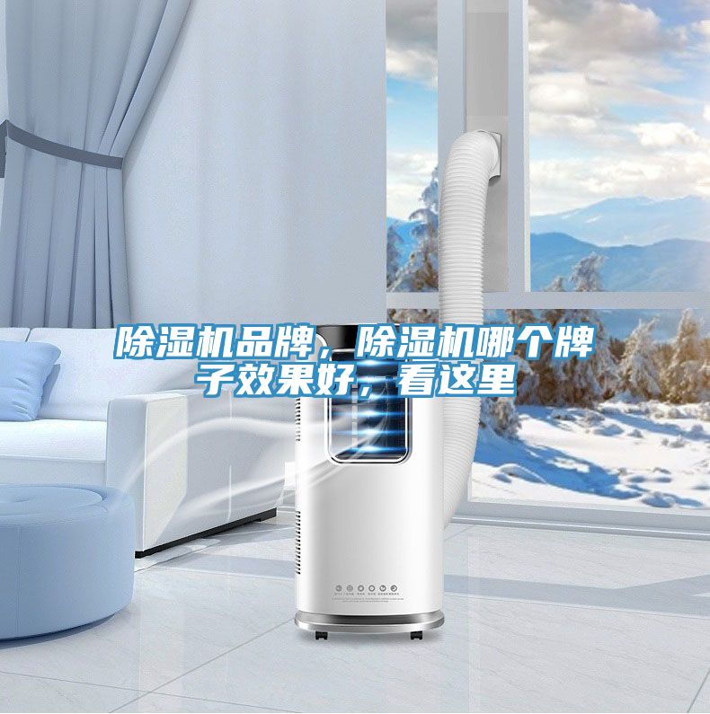 除濕機(jī)品牌，除濕機(jī)哪個(gè)牌子效果好，看這里