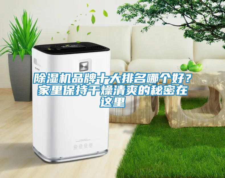 除濕機(jī)品牌十大排名哪個(gè)好？家里保持干燥清爽的秘密在這里
