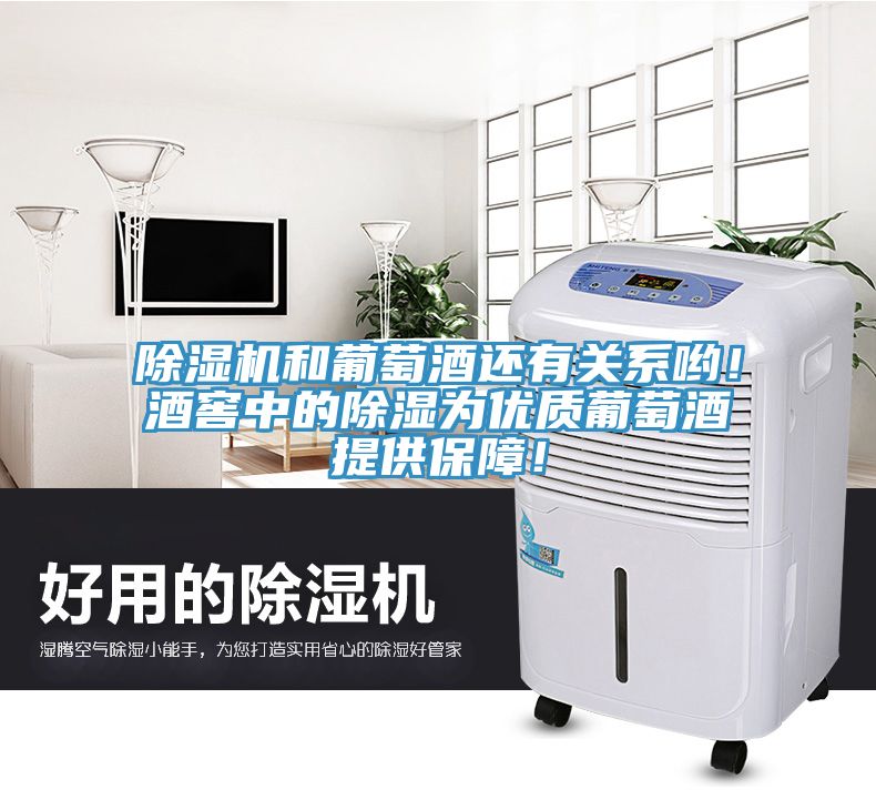 除濕機和葡萄酒還有關(guān)系喲！酒窖中的除濕為優(yōu)質(zhì)葡萄酒提供保障！