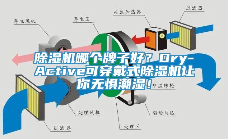 除濕機(jī)哪個牌子好？Dry-Active可穿戴式除濕機(jī)讓你無懼潮濕！