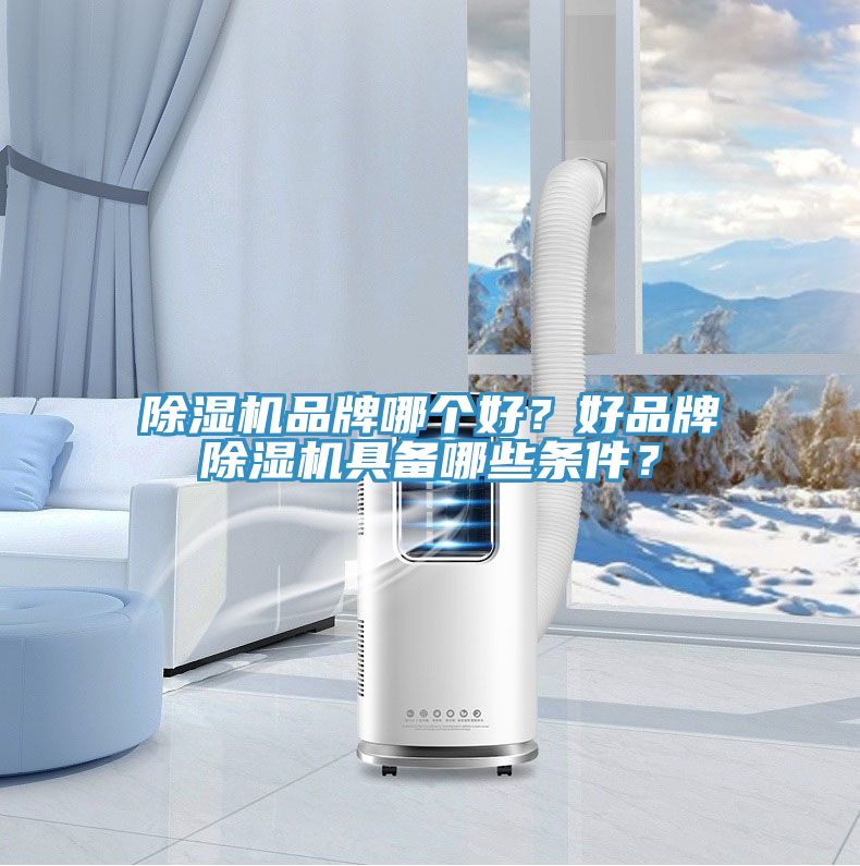 除濕機(jī)品牌哪個(gè)好？好品牌除濕機(jī)具備哪些條件？