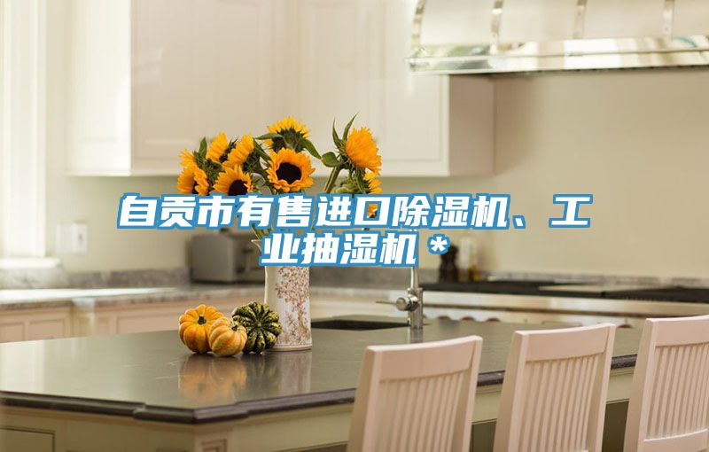 自貢市有售進口除濕機、工業(yè)抽濕機＊