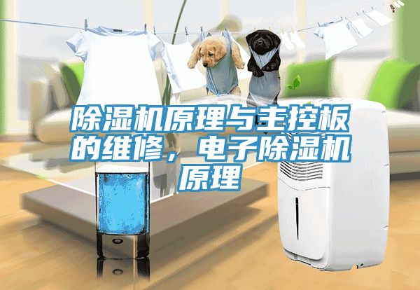除濕機(jī)原理與主控板的維修，電子除濕機(jī)原理