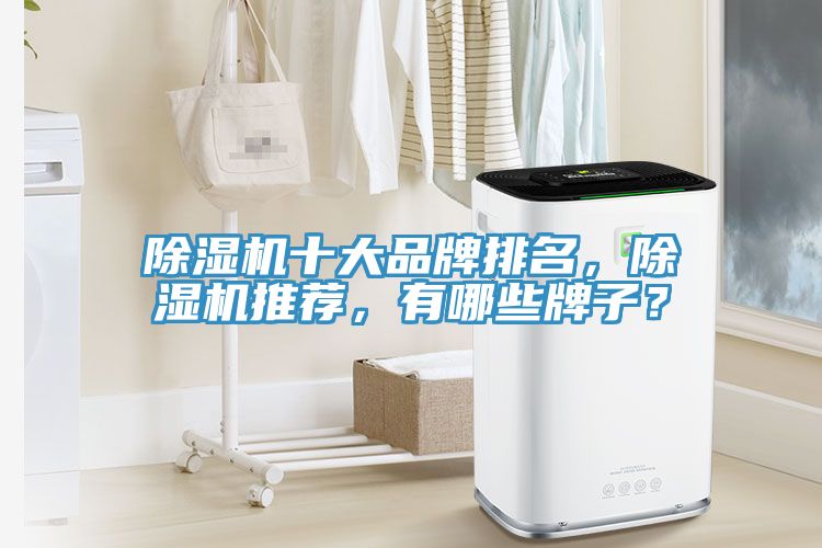 除濕機十大品牌排名，除濕機推薦，有哪些牌子？