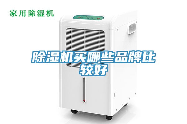 除濕機(jī)買(mǎi)哪些品牌比較好