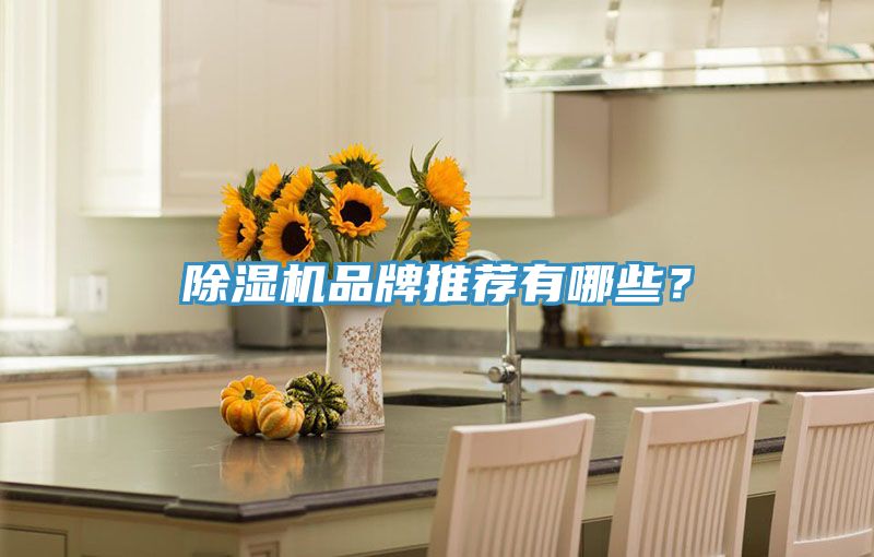 除濕機(jī)品牌推薦有哪些？