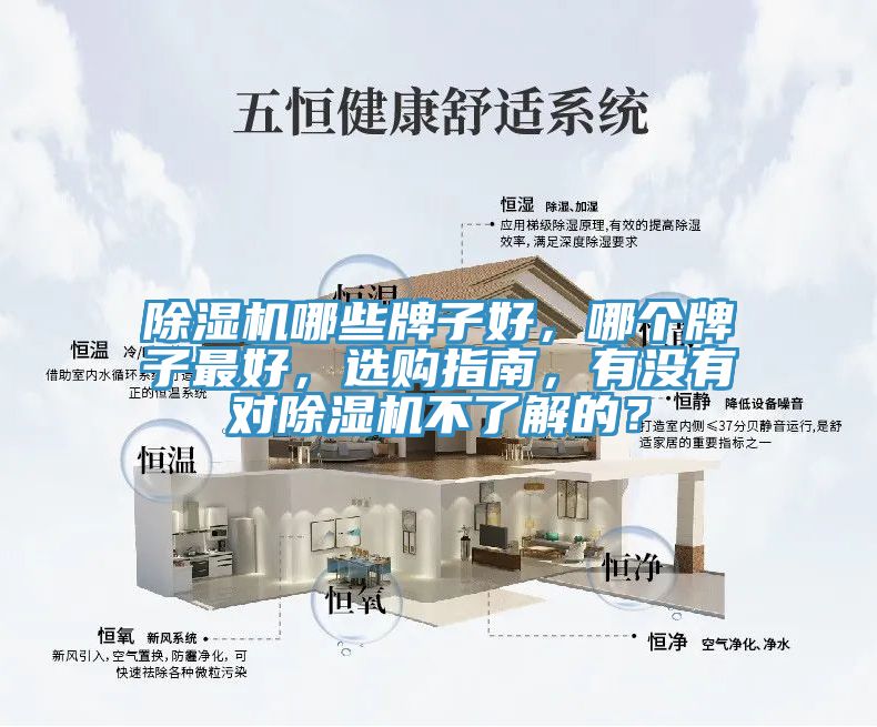 除濕機(jī)哪些牌子好，哪個(gè)牌子最好，選購(gòu)指南，有沒(méi)有對(duì)除濕機(jī)不了解的？