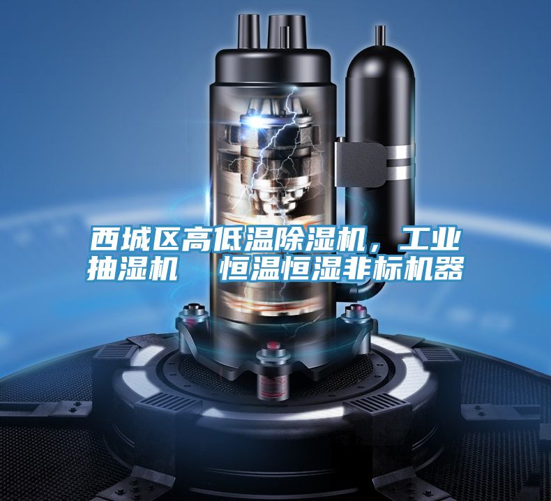 西城區(qū)高低溫除濕機，工業(yè)抽濕機  恒溫恒濕非標機器