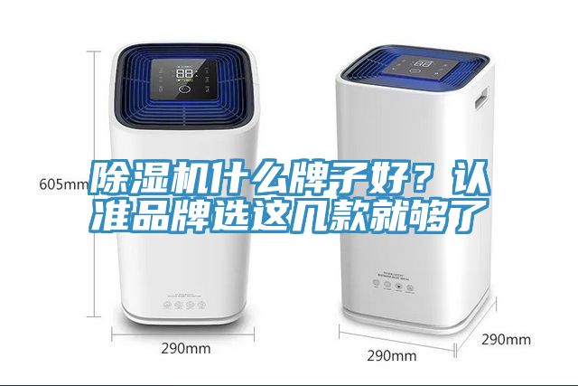 除濕機什么牌子好？認(rèn)準(zhǔn)品牌選這幾款就夠了