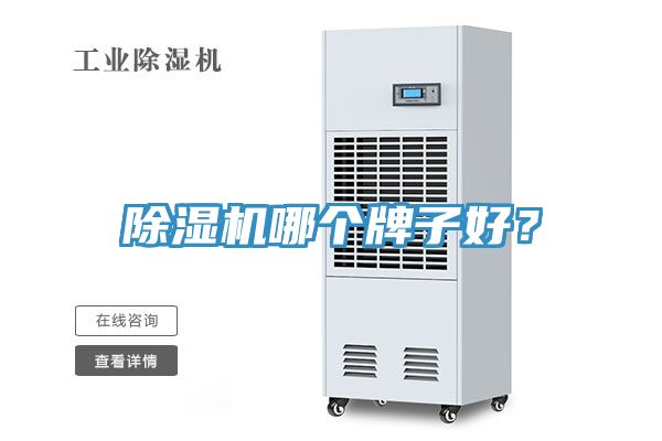 除濕機(jī)哪個牌子好？