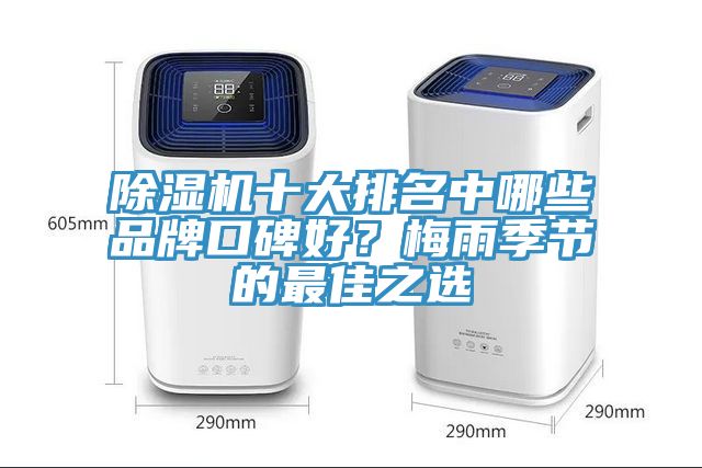 除濕機(jī)十大排名中哪些品牌口碑好？梅雨季節(jié)的最佳之選