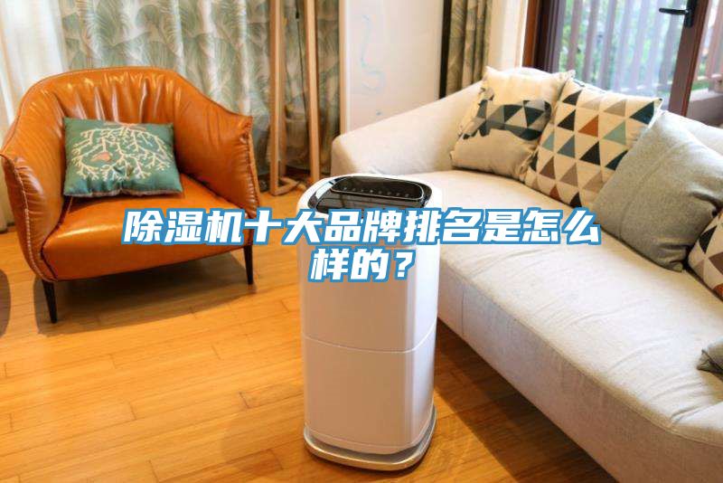 除濕機十大品牌排名是怎么樣的？